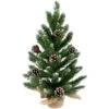 Northlight 24" Frosted Norway Pine With Pine Cones Medium Artificial Christmas Tree, Unlit