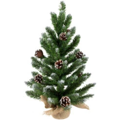 Northlight 24" Frosted Norway Pine With Pine Cones Medium Artificial Christmas Tree, Unlit