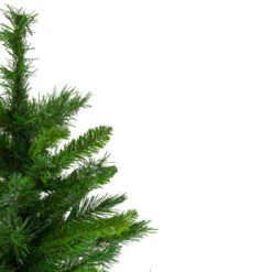 Northlight 24" Mixed Kateson Fir Medium Artificial Christmas Tree - Unlit -Ornaments Store northlight v03996 3 updated 04868.1628608992