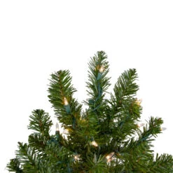 Northlight 2' Pre-Lit Medium Canadian Pine Artificial Christmas Tree - Clear Lights -Ornaments Store northlight v15846 2updated 18645.1670143684