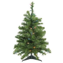 Northlight 2' Pre-Lit Medium Canadian Pine Artificial Christmas Tree- Multi Lights, Green Wire