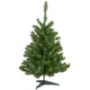 Northlight 3' Pre-Lit Medium Canadian Pine Artificial Christmas Tree, Multicolor Lights 1 Northlight 3' Pre-Lit Medium Canadian Pine Artificial Christmas Tree, Multicolor Lights -Ornaments Store northlight v15853 1new 95131.1665610746