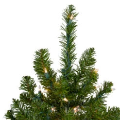 Northlight 6' Pre-Lit Medium Canadian Pine Artificial Christmas Tree, Clear Lights 10 Northlight 6' Pre-Lit Medium Canadian Pine Artificial Christmas Tree, Clear Lights -Ornaments Store northlight v15883 2updated 70855.1665696782