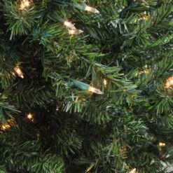 Northlight 6' Pre-Lit Medium Canadian Pine Artificial Christmas Tree, Clear Lights 12 Northlight 6' Pre-Lit Medium Canadian Pine Artificial Christmas Tree, Clear Lights -Ornaments Store northlight v15887 2updated 61463.1665696782