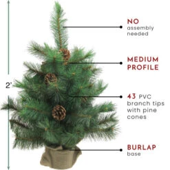 Northlight 2' Royal Oregon Pine Medium Artificial Christmas Tree In Burlap Base - Unlit -Ornaments Store northlight v15918 thumbnail 82117.1604542603