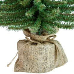 Northlight 2' Potted Downswept Mini Village Pine Medium Artificial Christmas Tree, Unlit 12 Northlight 2' Potted Downswept Mini Village Pine Medium Artificial Christmas Tree, Unlit -Ornaments Store northlight v15950 2updated 92136.1665432992