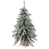 Northlight 2' Potted Flocked Downswept Mini Village Pine Medium Artificial Christmas Tree - Unlit 1 Northlight 2' Potted Flocked Downswept Mini Village Pine Medium Artificial Christmas Tree - Unlit -Ornaments Store northlight v15954 1 80420.1664119879