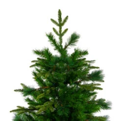 Northlight 7.5' Medium Mixed Rosemary Emerald Angel Pine Artificial Christmas Tree - Unlit 8 Northlight 7.5' Medium Mixed Rosemary Emerald Angel Pine Artificial Christmas Tree - Unlit -Ornaments Store northlight v27336 2 66814.1588369083