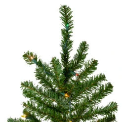 Northlight 6.5' Pre-Lit Canadian Pine Artificial Pencil Christmas Tree - Multi Lights 10 Northlight 6.5' Pre-Lit Canadian Pine Artificial Pencil Christmas Tree - Multi Lights -Ornaments Store northlight v27348 2 40430.1663773982