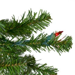 Northlight 6.5' Pre-Lit Canadian Pine Artificial Pencil Christmas Tree - Multi Lights 11 Northlight 6.5' Pre-Lit Canadian Pine Artificial Pencil Christmas Tree - Multi Lights -Ornaments Store northlight v27348 3 37518.1663773982