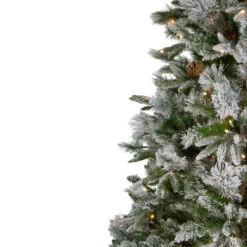 Northlight 7.5' Pre-Lit Flocked Rosemary Emerald Angel Pine Artificial Christmas Tree - Clear LED Lights -Ornaments Store northlight v27363 1 01777.1588355118