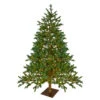 Northlight 6.5' Pre-Lit Full North Pine Artificial Christmas Tree - Clear LED Lights -Ornaments Store northlight v27366 00348.1588369085