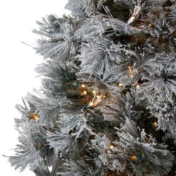Northlight 7.5' Pre-Lit Full Black Spruce Artificial Christmas Tree - Clear LED Lights 10 Northlight 7.5' Pre-Lit Full Black Spruce Artificial Christmas Tree - Clear LED Lights -Ornaments Store northlight v27372 2 37581.1588362215