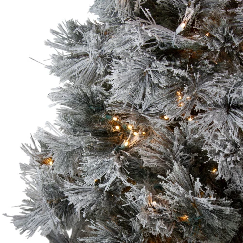 Northlight 7.5' Pre-Lit Full Black Spruce Artificial Christmas Tree - Clear LED Lights 5 Northlight 7.5' Pre-Lit Full Black Spruce Artificial Christmas Tree - Clear LED Lights - Image 3