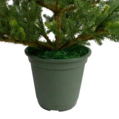Northlight 4' Potted Noble Pine Artificial Christmas Tree - Unlit -Ornaments Store northlight v27377 3 61232.1665610746