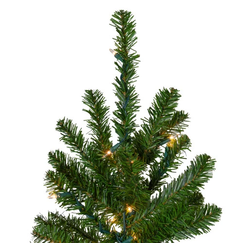 Northlight 7.5' Pre-Lit Pencil Canadian Pine Artificial Christmas Tree - Clear Lights 4 Northlight 7.5' Pre-Lit Pencil Canadian Pine Artificial Christmas Tree - Clear Lights - Image 2