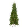 Northlight 6.5' Pre-Lit Canadian Pine Artificial Pencil Christmas Tree - Clear Lights 1 Northlight 6.5' Pre-Lit Canadian Pine Artificial Pencil Christmas Tree - Clear Lights -Ornaments Store northlight v27380 62060.1665260245