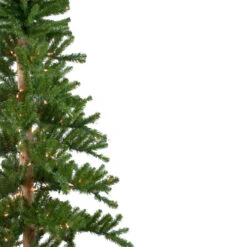 Northlight 6' Pre-Lit Pencil Alpine Artificial Christmas Tree, Clear Lights 12 Northlight 6' Pre-Lit Pencil Alpine Artificial Christmas Tree, Clear Lights -Ornaments Store northlight v27436 1 16108.1665610430