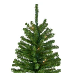 Northlight 6' Pre-Lit Pencil Alpine Artificial Christmas Tree, Clear Lights 11 Northlight 6' Pre-Lit Pencil Alpine Artificial Christmas Tree, Clear Lights -Ornaments Store northlight v27436 2 53283.1665610430