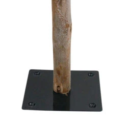 Northlight Set Of 3 Alpine Artificial Christmas Trees 4', 5' And 6' - Unlit -Ornaments Store northlight v27441 4 69567.1668587291