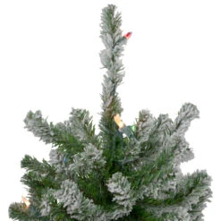 Northlight Set Of 3 Pre-Lit Slim Flocked Alpine Artificial Christmas Trees 6' - Multicolor Lights -Ornaments Store northlight v27442 3updated 39887.1665696781