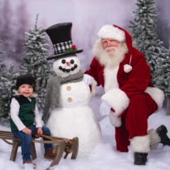 Northlight Set Of 3 Flocked Alpine Artificial Christmas Trees - Unlit 13 Northlight Set Of 3 Flocked Alpine Artificial Christmas Trees - Unlit -Ornaments Store northlight v27444 cxpic 83078.1676369311