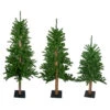 Northlight Set Of 3 Alpine Artificial Christmas Trees 3', 4'and 5'- Unlit 2 Northlight Set Of 3 Alpine Artificial Christmas Trees 3', 4'and 5'- Unlit -Ornaments Store northlight v27452 14527.1588358961