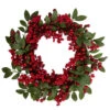 Northlight Lush Berry And Leaf Artificial Christmas Wreath, 18-Inch, Unlit