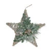 Northlight 24" Green, Gray, And Brown Frosted Mixed Pine Hanging Star Christmas Ornament