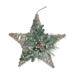 Northlight 24" Green, Gray, And Brown Frosted Mixed Pine Hanging Star Christmas Ornament