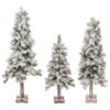 Northlight Set Of 3 Slim Flocked Alpine Artificial Christmas Trees 5' - Unlit 2 Northlight Set Of 3 Slim Flocked Alpine Artificial Christmas Trees 5' - Unlit -Ornaments Store northlight ynt775 fk updated 54616.1657129358