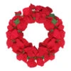Northlight 24" Red Artificial Poinsettia Flower Christmas Wreath - Unlit 1 Northlight 24" Red Artificial Poinsettia Flower Christmas Wreath - Unlit -Ornaments Store northlight ys28029updated 87944.1588344146