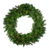 Northlight Pre-Lit Canyon Pine Artificial Christmas Wreath - 60-Inch, Clear Lights