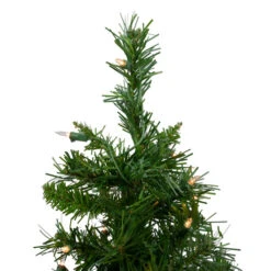 Northlight 2' Pre-Lit Medium Royal Pine Artificial Christmas Tree - Clear Lights -Ornaments Store northlight z00021 3 36827.1665610741
