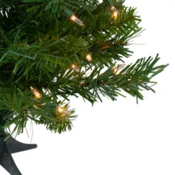 Northlight 2' Pre-Lit Medium Royal Pine Artificial Christmas Tree - Clear Lights -Ornaments Store northlight z00021 01019.1665610741