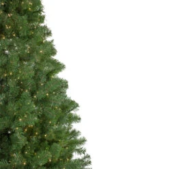Northlight 7.5' Pre-lit Medium Deer River Spruce LED Artificial Christmas Tree - Warm White Lights 12 Northlight 7.5' Pre-lit Medium Deer River Spruce LED Artificial Christmas Tree - Warm White Lights -Ornaments Store northlight z16062 2 43065.1587644175