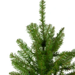 Northlight 6.5' Northern Pine Full Artificial Christmas Tree, Unlit 10 Northlight 6.5' Northern Pine Full Artificial Christmas Tree, Unlit -Ornaments Store northlight z84652 2 32992.1665610743