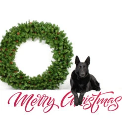 Northlight Dakota Red Pine Commercial Artificial Christmas Wreath - 5-Foot, Unlit -Ornaments Store northlight z99437 cxpic 2 84230.1677579788