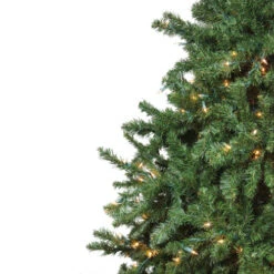 Northlight 15' Pre-Lit Canadian Pine Commercial Artificial Christmas Tree - Warm White Lights -Ornaments Store npncjeegq3ztmwecdxxeffqt5lzg8ozy 70169.1665610423