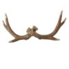 16" Brown Reindeer Antler Glitter Mantle Tabletop Decor -Ornaments Store nqjauhtvop82lfcpewdywwmi0lz5psc0 27695.1588403883