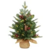 Christmas Central 2' Pre-lit Potted Nordic Spruce Artificial Christmas Tree, Warm White LED Lights -Ornaments Store pens1 355 20 b1 40032.1665519662