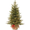 Christmas Central 3' Pre-lit Potted Nordic Spruce Artificial Christmas Tree, Warm White LED Lights 1 Christmas Central 3' Pre-lit Potted Nordic Spruce Artificial Christmas Tree, Warm White LED Lights -Ornaments Store pens3 357 30 bs 61527.1588357207