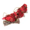 Northlight 3ct Red And Brown Glittered Cardinal Bird Christmas Ornaments 3.75" - 32584388 -Ornaments Store rjzju8eijag4oswukz4q69ppdqcpqaln 42412.1588349669