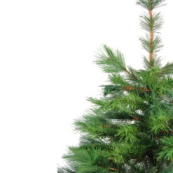 Northlight 3' Potted New Carolina Spruce Medium Artificial Christmas Tree - Unlit -Ornaments Store sizueobn2mf7pj7trpis4u3dkcb3ettz 19805.1665610422