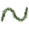 Northlight 9' X 8" Pre-Lit Canadian Pine Artificial Christmas Garland, Clear Lights -Ornaments Store t5m45cn5tdpezxpbty1j1kojr7spmhme 50127.1665590919
