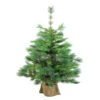 Northlight 3' Potted New Carolina Spruce Medium Artificial Christmas Tree - Unlit -Ornaments Store vcpb9nvhitmvkbd1cvp3edclacwlzbh7 43969.1588353913