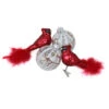 Northlight 4ct Red And White Cardinal Birds Glass Finish Christmas Ball Ornaments 6.25" (155mm) -Ornaments Store vikhop7adf1mvxjakadfhzhct7rhk9ww 34042.1588369538