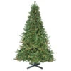 Northlight 15' Pre-Lit Canadian Pine Commercial Artificial Christmas Tree - Warm White Lights 1 Northlight 15' Pre-Lit Canadian Pine Commercial Artificial Christmas Tree - Warm White Lights -Ornaments Store vjphdc9al2mkq97p4uob5tsvjuht3qe5 81723.1665610423
