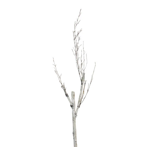 Northlight 46.5" White And Brown Birch Artificial Christmas Branch Twig 3 Northlight 46.5" White And Brown Birch Artificial Christmas Branch Twig