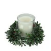 Northlight 6" Clear And Green Boxwood With Berry Tipped Christmas Hurricane Pillar Candle Holder -Ornaments Store xhev4tmcec4sh2hkeko1zsj9bkn9jquj 10259.1588371117